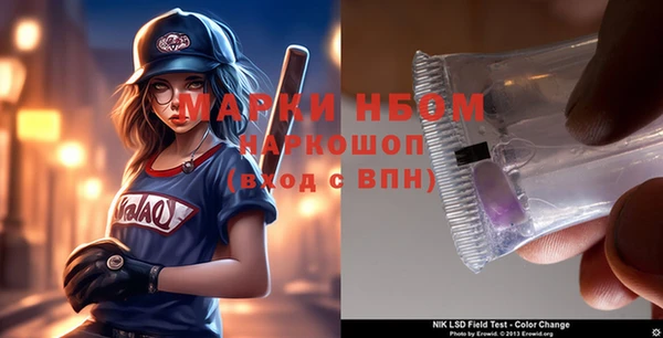 прущий лед Богданович