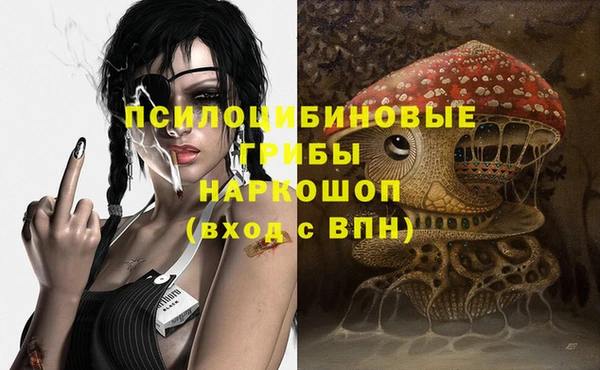spice Богородицк