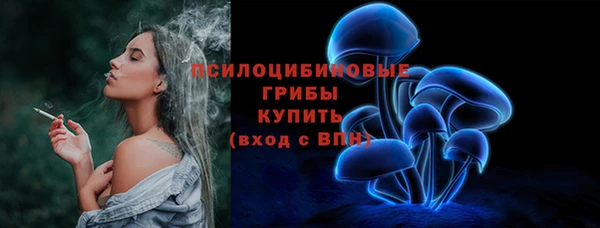 прущий лед Богданович