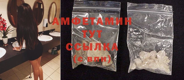 spice Богородицк