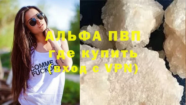 spice Богородицк