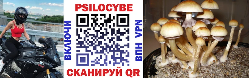 Псилоцибиновые грибы мицелий  Бутурлиновка 